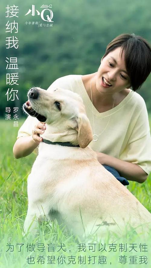 学信网学历证书电子注册备案表有效期多久